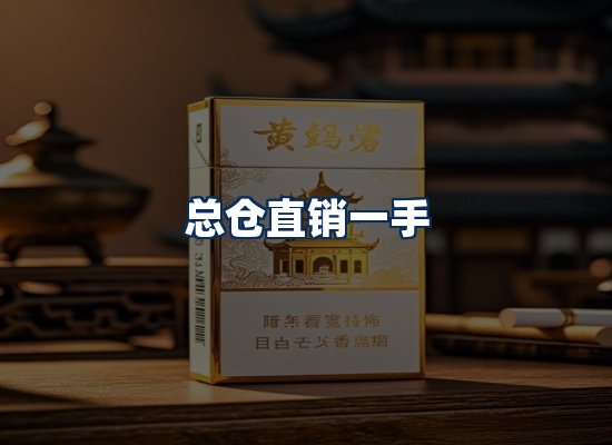 专业团队办公环境